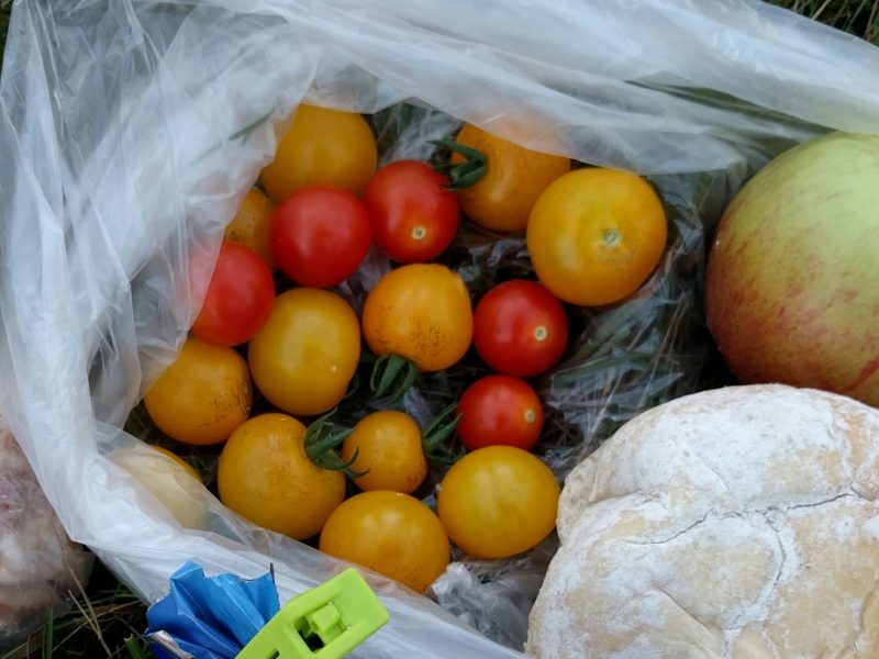 IMG_20160904_192154_20160917_010357