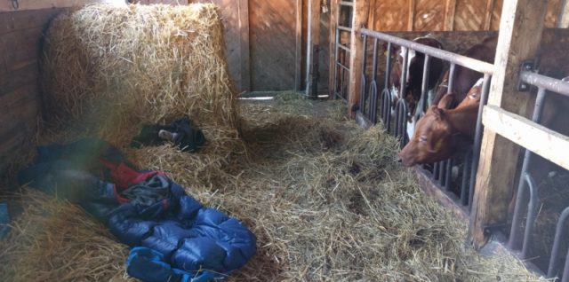 IMG_20160913_083400_20160915_235541