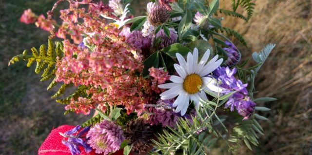 IMG_20160919_171713_20160924_131539