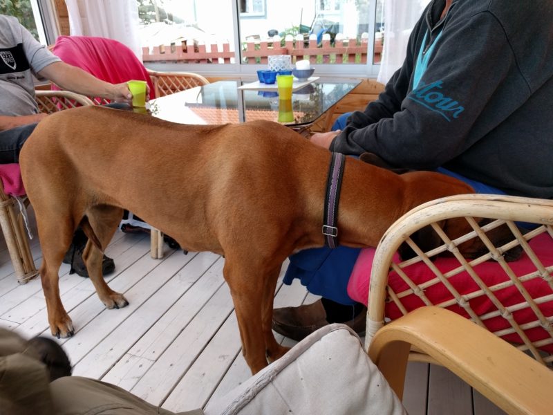 IMG_20160921_162719_20160923_002833