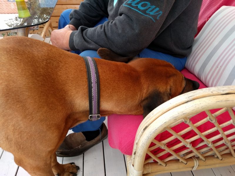 IMG_20160921_162724_20160923_002918