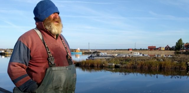 IMG_20160925_084347_20160930_023313