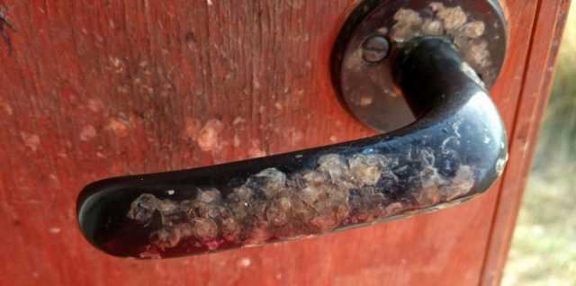 IMG_20160923_110852_20160923_201610